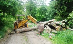 eup-1122694700-aac8178192230deeb02e3bae16276c32-1413837141_big.jpg