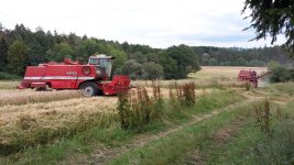 eup-1136807761-339dd29ce62c53a867af60a1fc884222-1576441379_big.jpg eup-1136807761-339dd29ce62c53a867af60a1fc884222-1576441379_big.jpg
