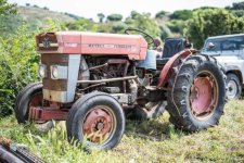 eup-1137313950-8f8cd6f921cc6c7e8e3b41d3e9f93fd1-1646578505_big.jpg