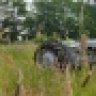 thorbo94