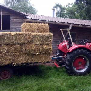 Medium 'Frank Wagner' im Album 'MF 100er-Baureihe'