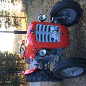 Schwarzwald-MF35