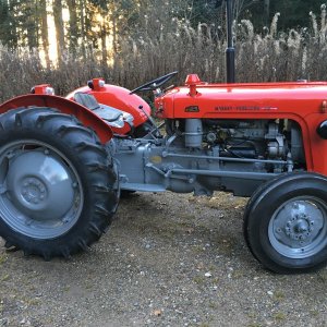 Schwarzwald-MF35