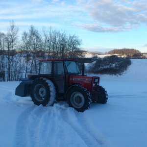 Mf 265 (Markus)
