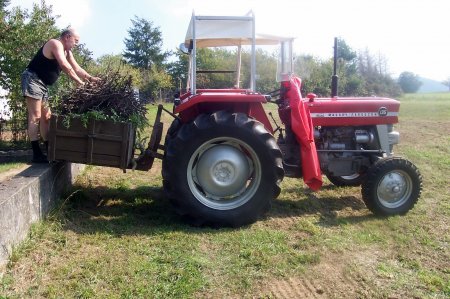 mein Mf 135 orginal 2.800st