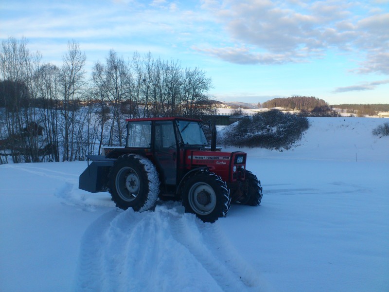 Mf 265 (Markus)