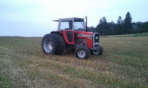 MF 590