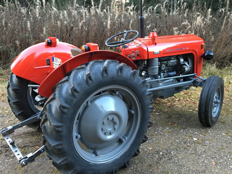 Schwarzwald-MF35